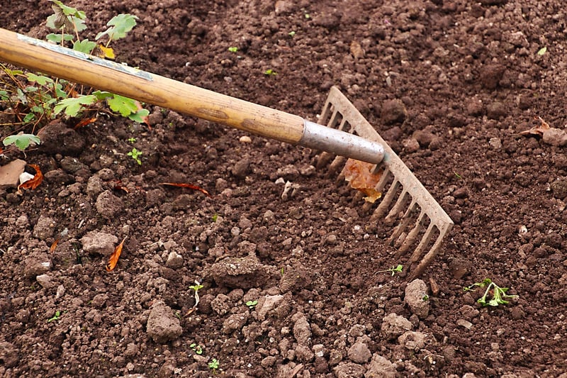 Gardening Event