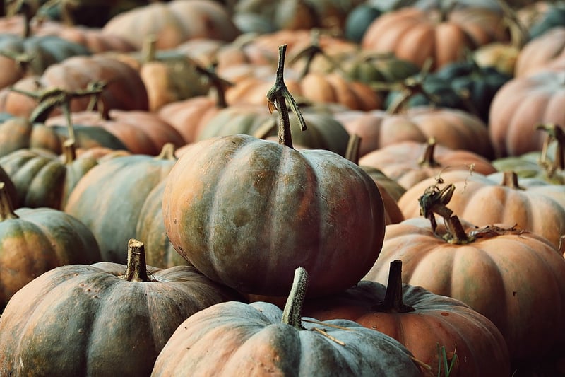 Fall Pumpkin Display