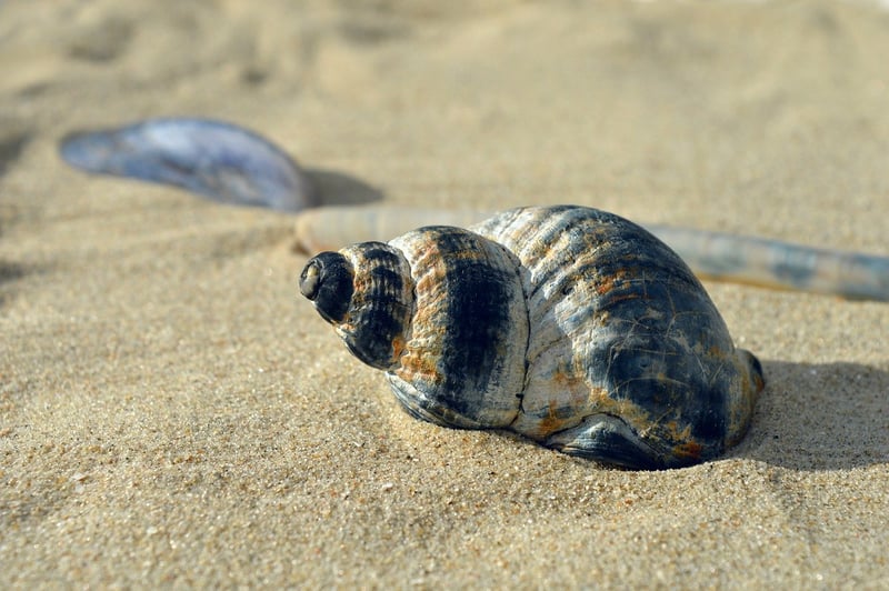 Summer Beach Display
